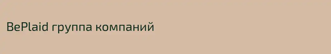 BePlaid группа компаний